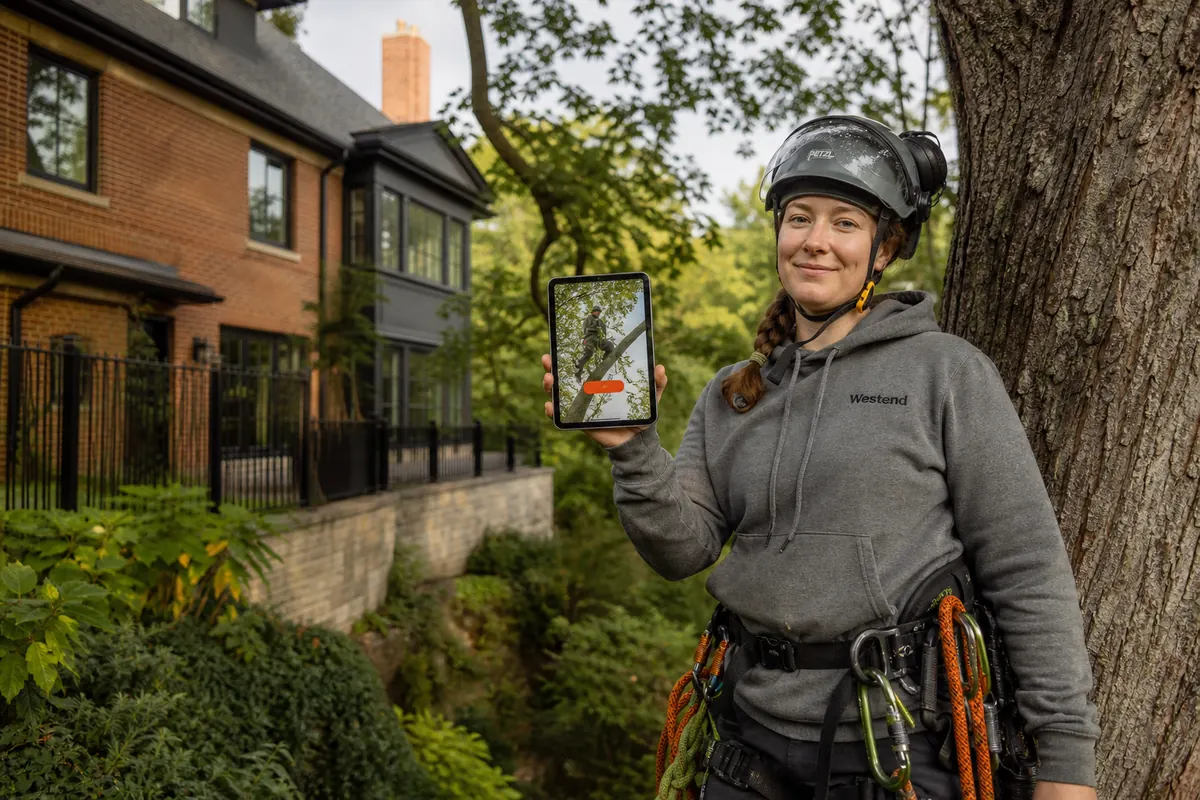 Arborist with climbing gear beside a large tree on a ravine-edge lot in Rosedale, showing her company website on a phone